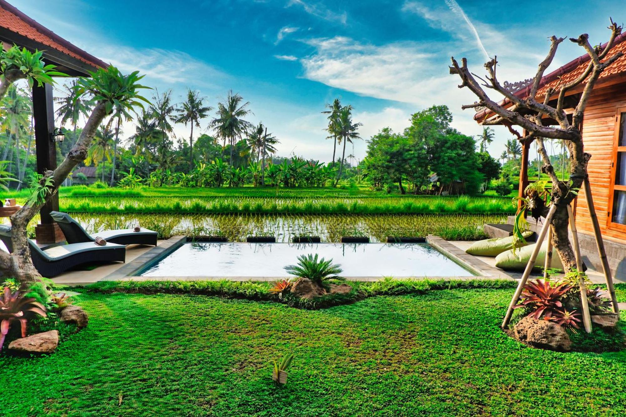 Dapha Eco Lodge Lovina Sukasadel المظهر الخارجي الصورة